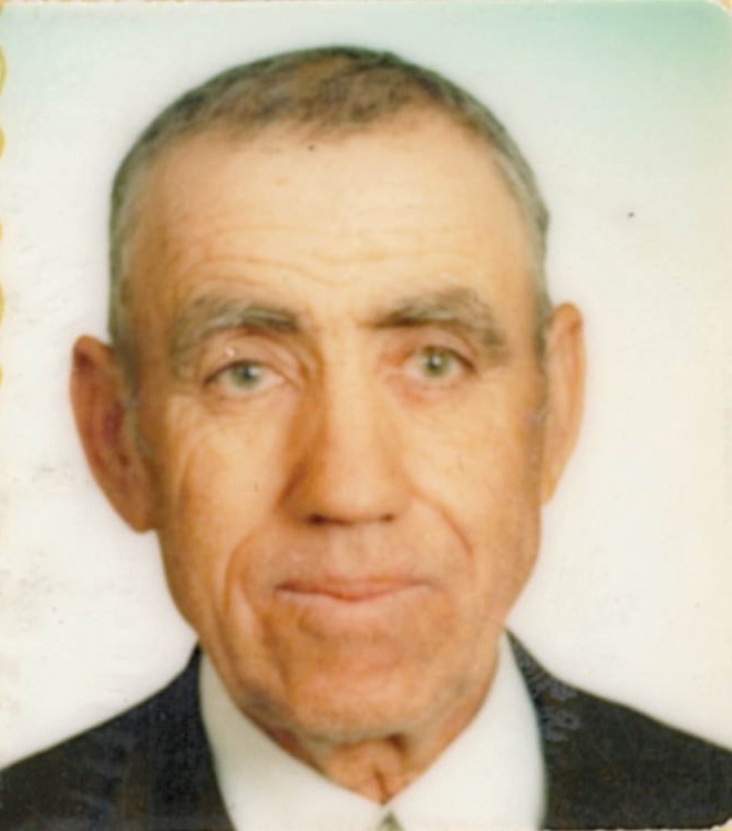 José Teresa Gonçalves
