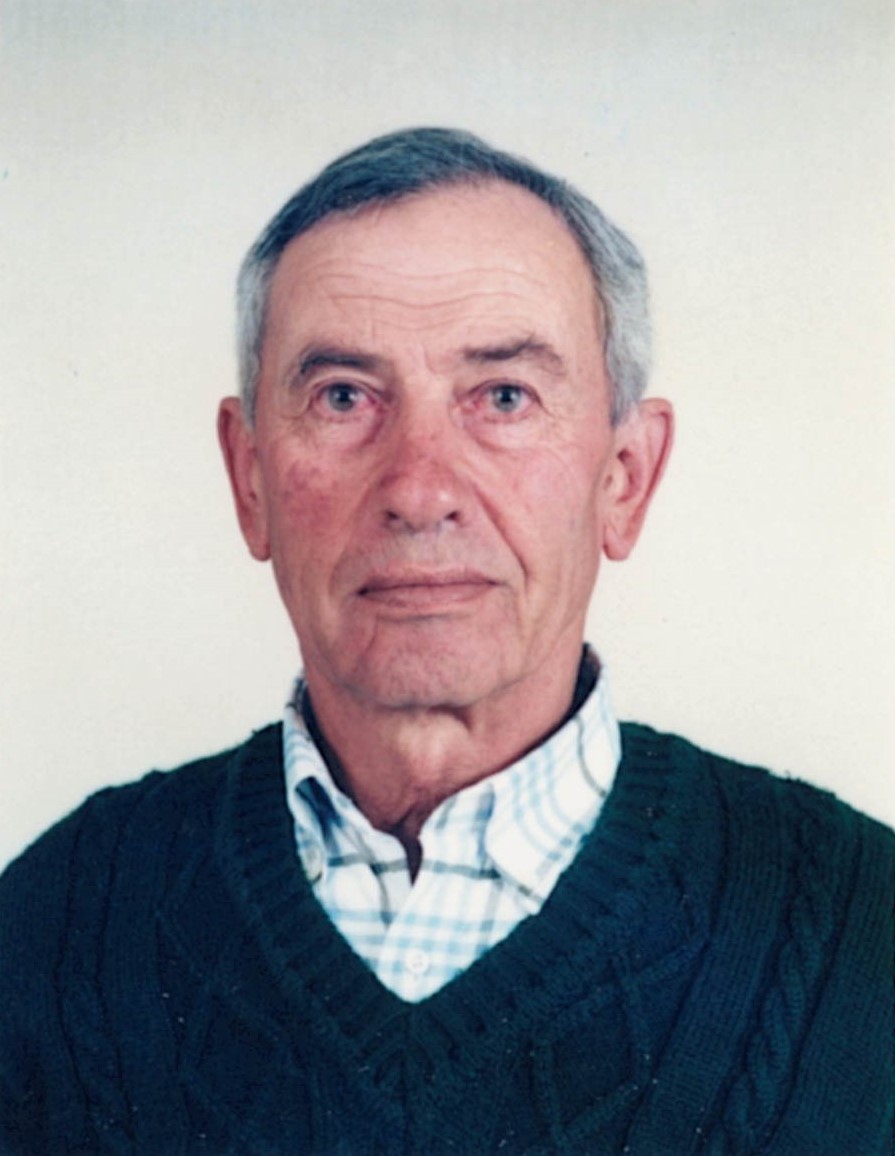 Manuel José Viegas