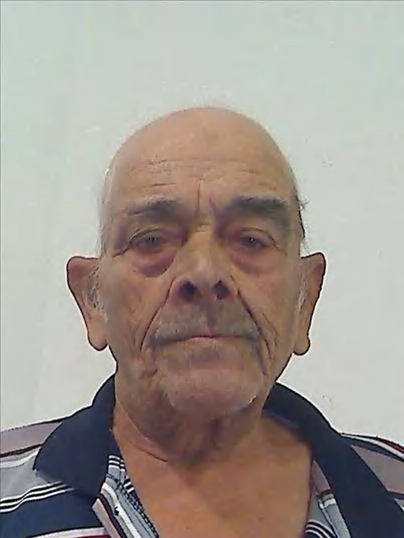 José Manuel Mangas Luís