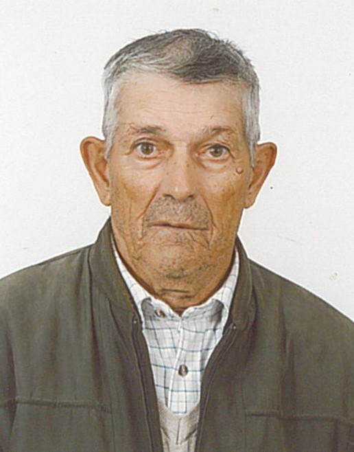 José António Dionísio